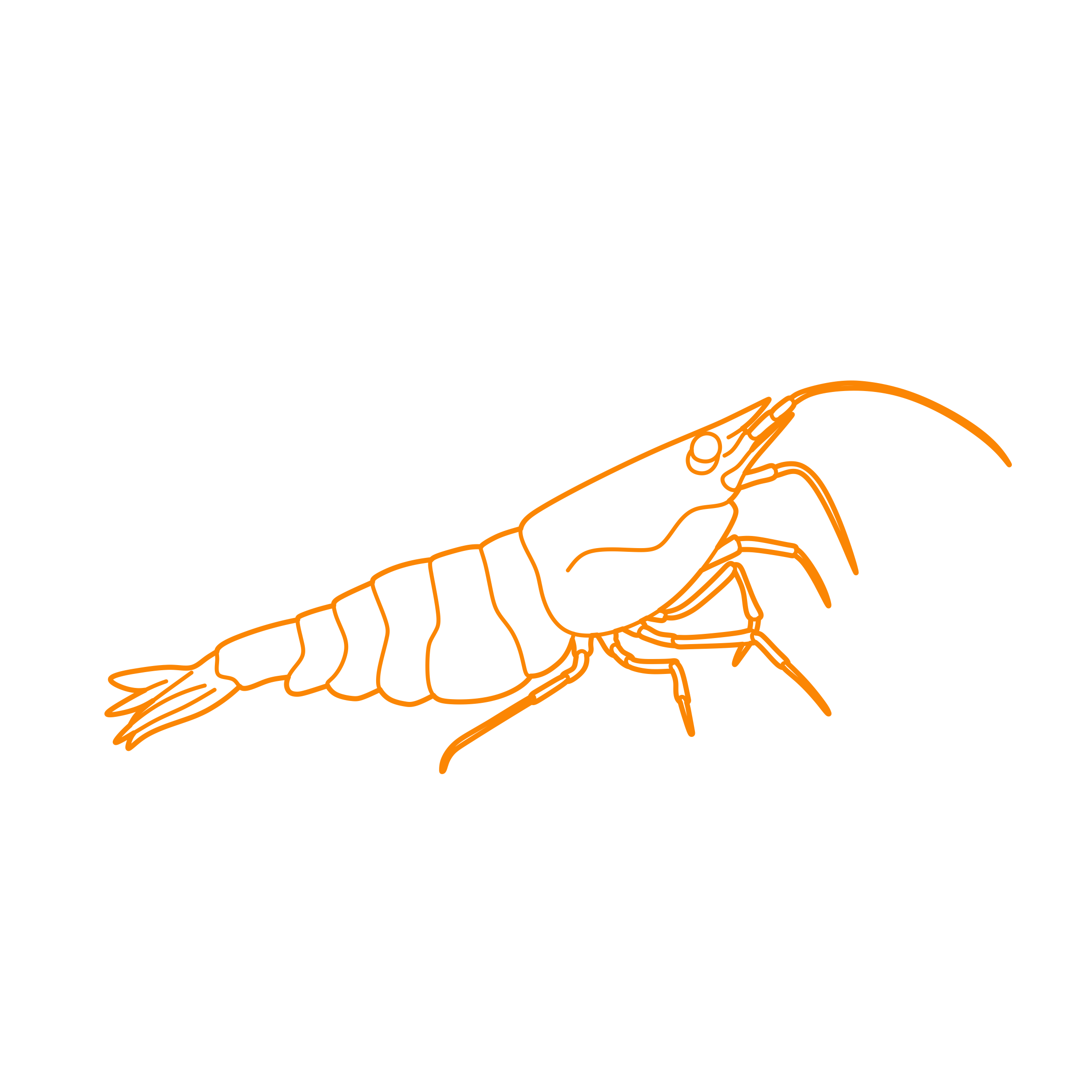 Animals Crustaceans Cherry Shrimp Tracing Svg Vector Free Vectors